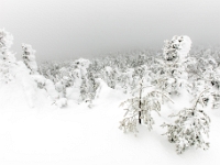Parc national du Mont-Mégantic - Secteur de l'Observatoire